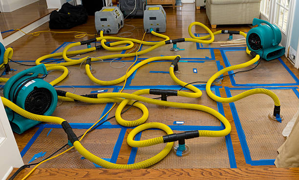 Professional Storm Water Damage Restoration technician working in Linthicum Heights, MD